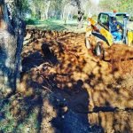 artículos jardineros