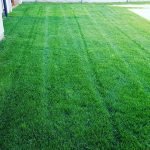 pasto natural temuco