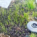 jardinería araucanía