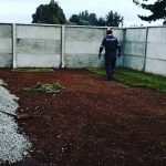 siempre de pasto en temuco