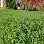 jardineria en temuco