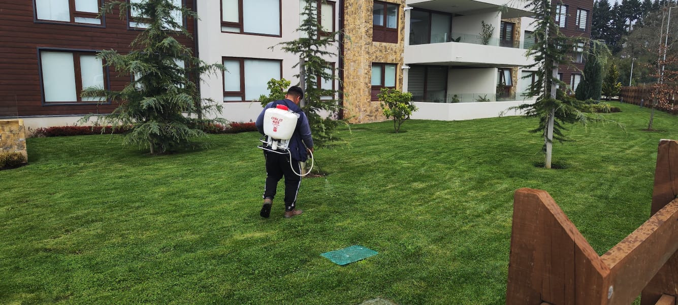 Sanitización de estanques y fuentes en Temuco - Doña Jacinta SpA