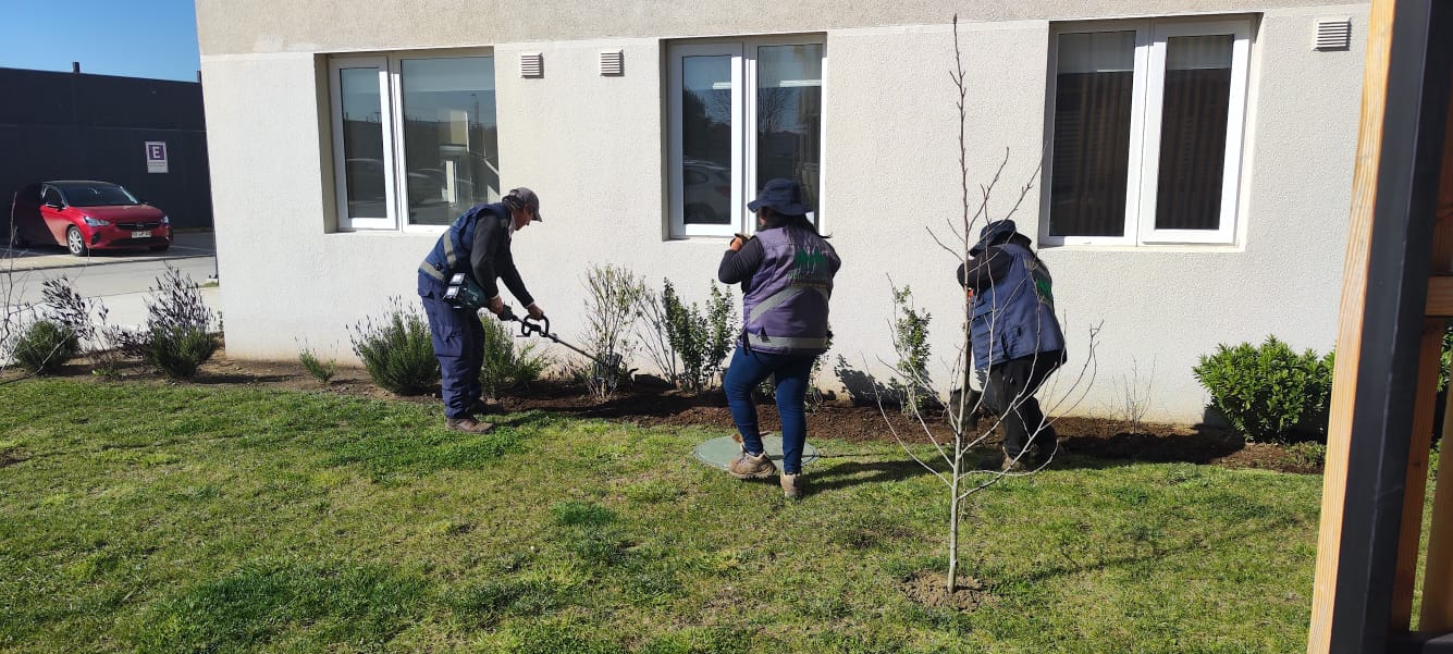 Equipo de 3 jardineros Doña Jacinta trabajando en canteros frente a edificio residencial