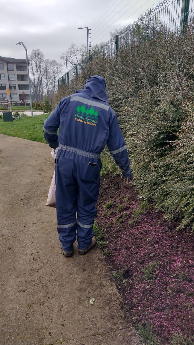 Control de caracoles y moluscos en Temuco - Doña Jacinta SpA