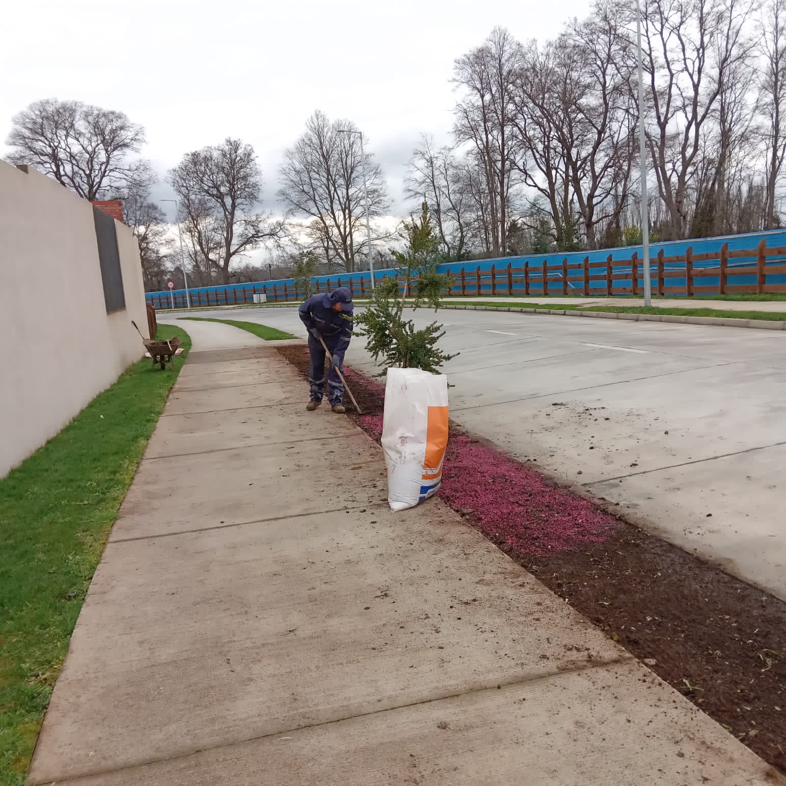 Instalación de mulching decorativo y enmiendas orgánicas en platabanda