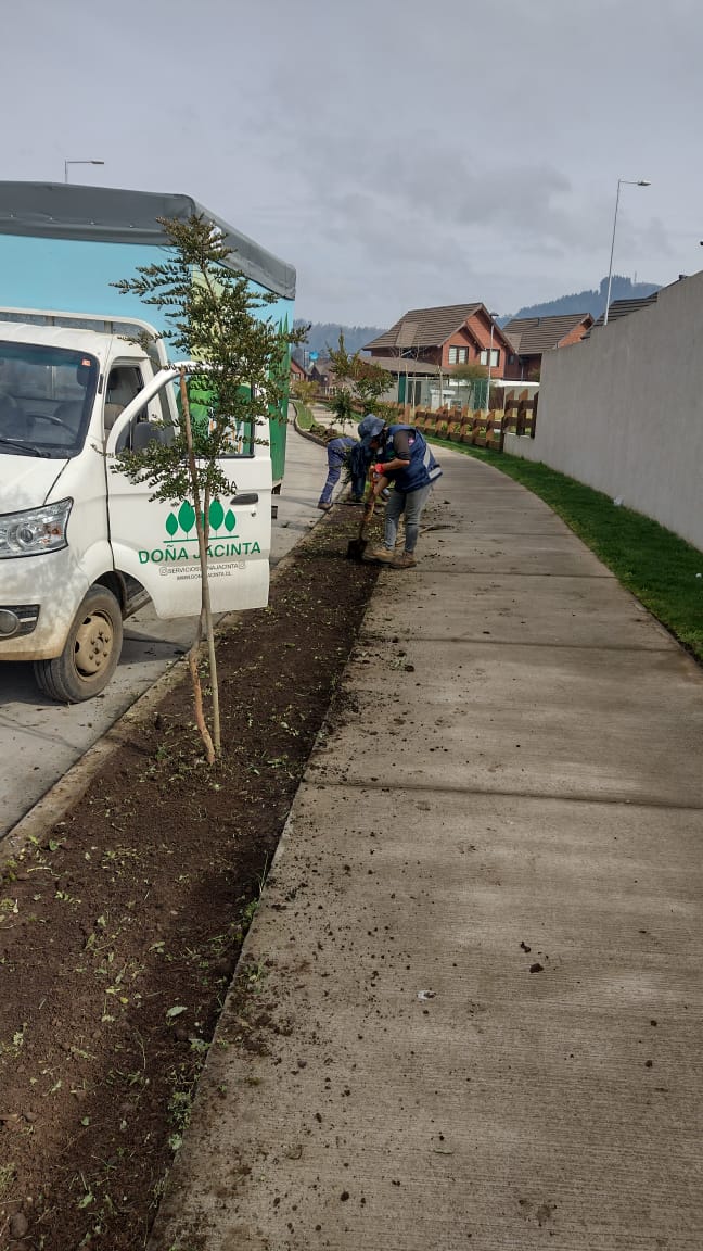 Camión Doña Jacinta y cuadrilla preparando suelo para hilera de árboles en condominio