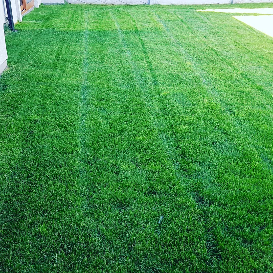 Fertilización técnica de suelos en Temuco - Doña Jacinta SpA